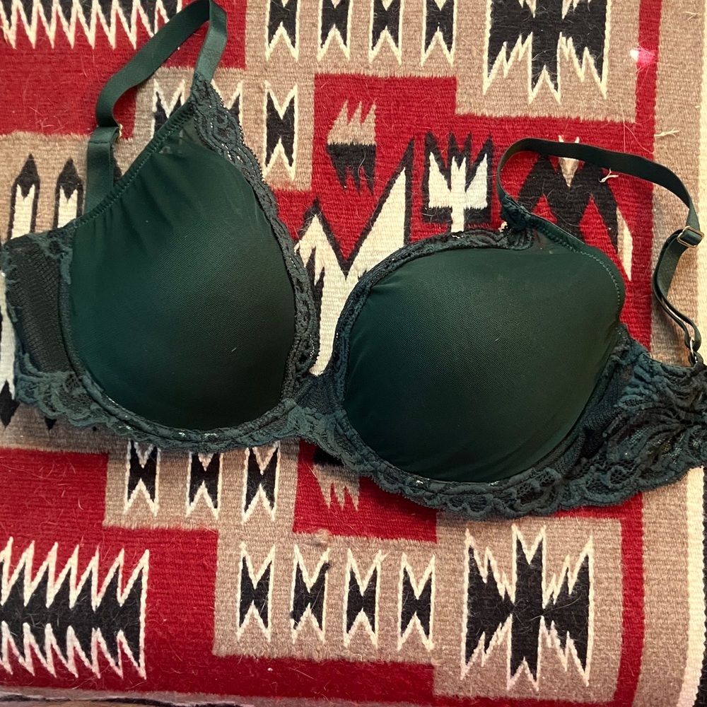 Natori Lace Trim Plunge Bra 32G